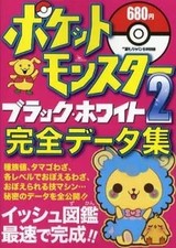 Strategiehandbuch NDS RPG