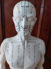 Akupunkturpuppe 71 cm von