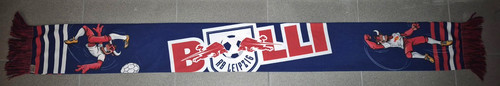 Leipzig schal bulli - schal, /
