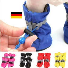 Hunde 🐶 Schuhe Pfoten