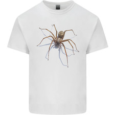 Grauenhaft Spinne Halloween 3D