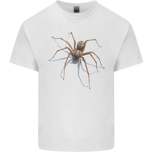 Grauenhaft spinne halloween - spinne,