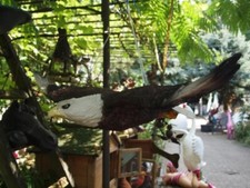 Adler Deko Figur Seeadler fliegend 70cm  Gartenfigur Greifvögel NEUHEIT