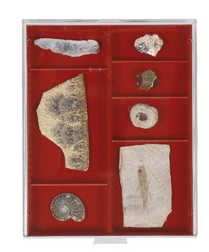 Lindner-2462-Sammelboxen-Rauch