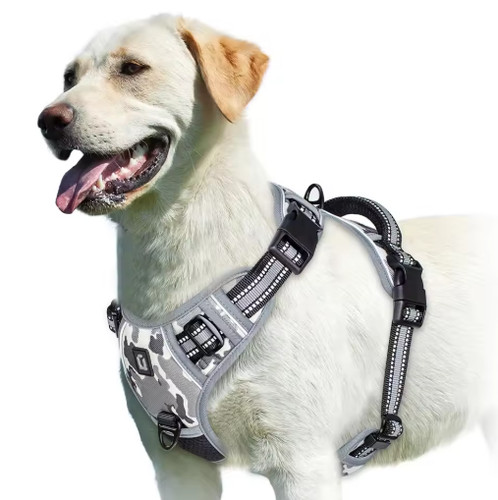 Hundegeschirr