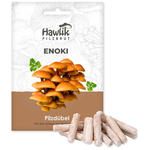 Enoki pilze myzel - enoki-pilze,