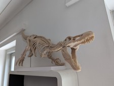 T Rex Skelett Fossil Bausatz