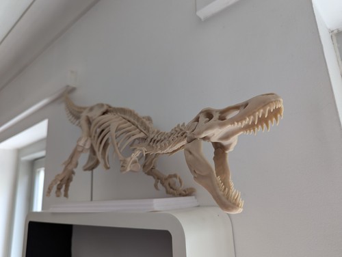 Rex skelett fossil - t,