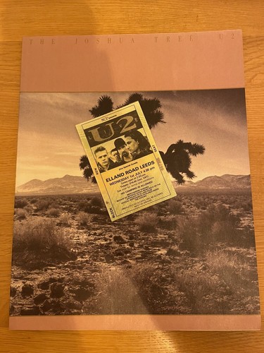 Joshua tree programme - tree, and