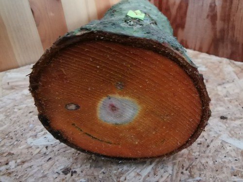 Pflaume drechselholz cm - drechselholz, 25×9