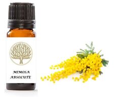 100% Pure Mimosa Absolute Oil