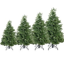 Evergreen Weihnachtsbaum