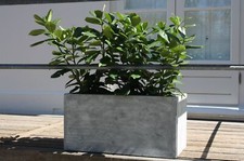 Pflanzkübel Blumenkübel