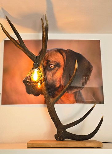 Exklusive rothirsch lampe auf - rothirsch-lampe,
