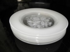 1 Kuchenteller Dessertteller