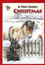 Scottish Terrier Hund