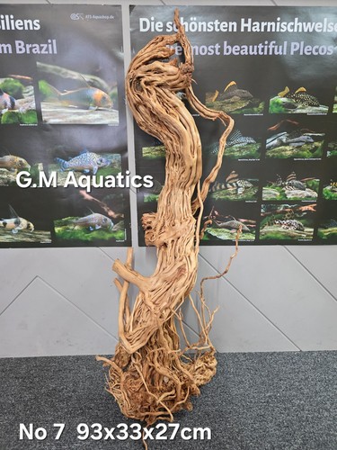 Azalee form aquarium - s-form, no