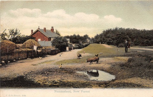 Postkarte normansland new - normansland,