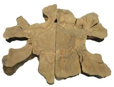 2x Oliven Wurzelholz Holz für