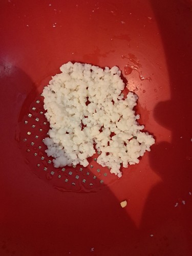 Milchkefir knollen pilze 20g - milchkefir,