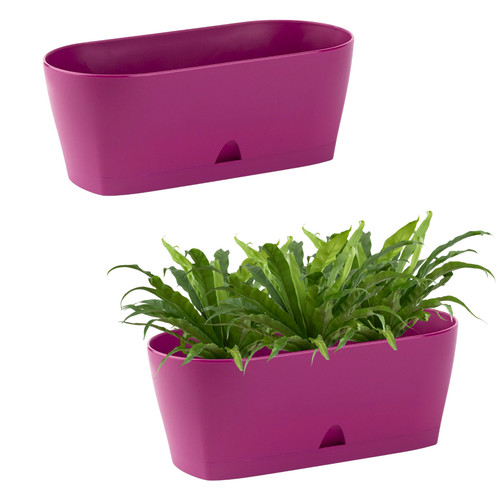 Engelland blumenkasten - engelland, x