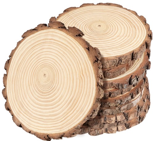 Holzscheiben 16cm - 10,