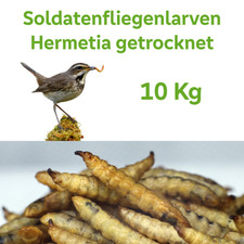 Soldatenfliegenlarven 10 kg wie Mehlwürmer Hermetia Black Soldier Fly Koi Vögel