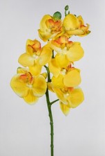 Orchideenzweig 52cm gelb - , fi