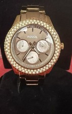 Fossil Stella
