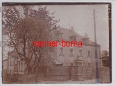 76945 Original Foto Kiebitz