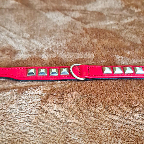 Hunter hundehalsband rocky - hundehalsband,