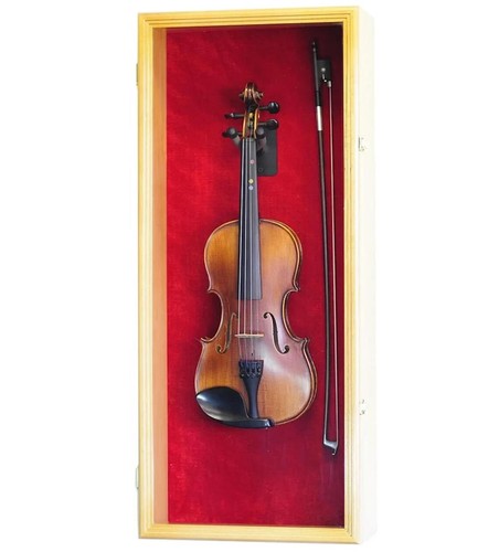 Violin display case - violin, ukulele