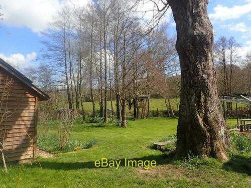Foto 6x4 garten - garten, hartridge