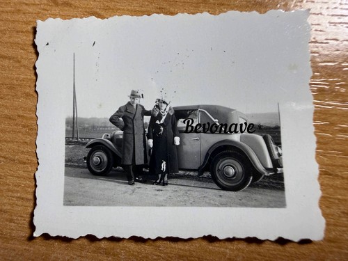 Foto adler trumpf - foto, junior
