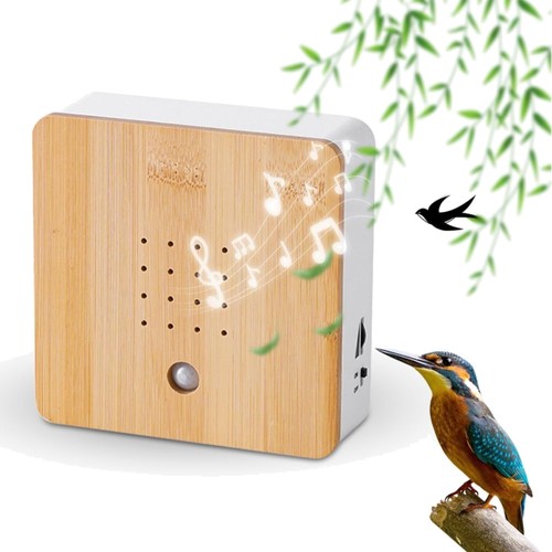 Vogelgezwitscher box - vogelgezwitscher,