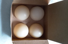 Partylite 4 Aroma Melts 