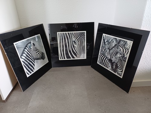 Bild zebra ikea - design, hinter