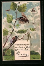 Präge-Künstler-AK Alfred