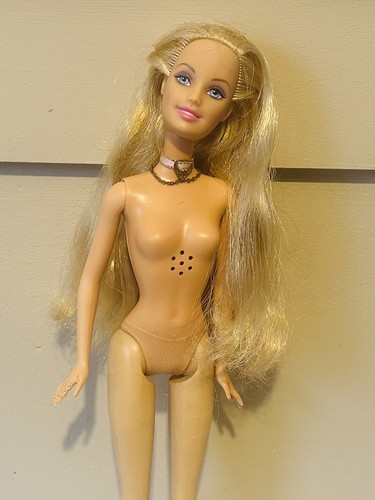 Barbie princess the - barbie, &