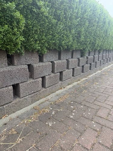 Betonblöcke braun quader - braun,