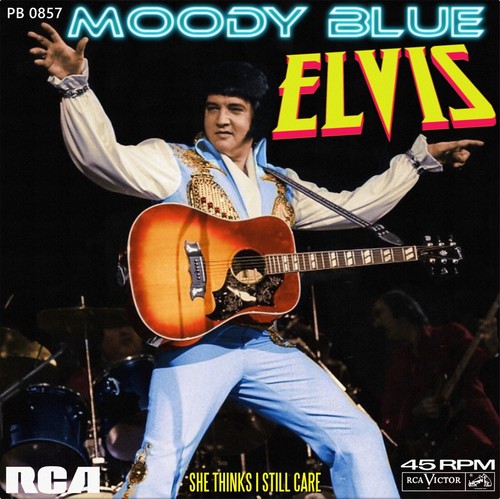 Repro photo elvis presley - repro,