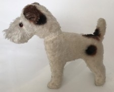 Sehr schöner Fox Terrier