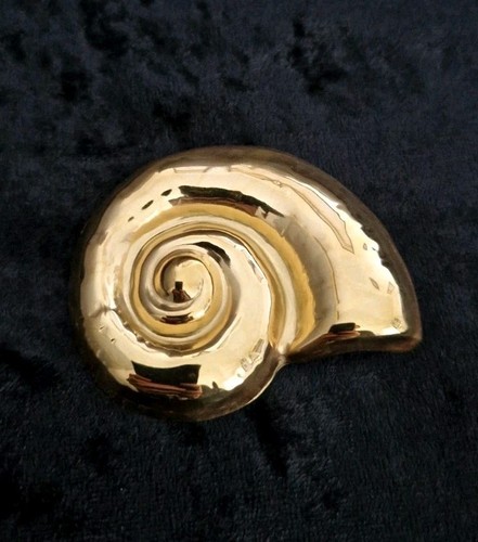 Nautilus ammonit goldfarbene - nautilus,