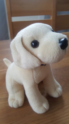 Hund süßer babyhund - hund,