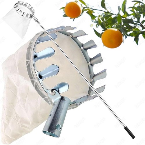 Obstpflücker erntehelfer obst - obstpflücker,