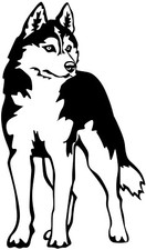 Siberian husky aufkleber - husky,