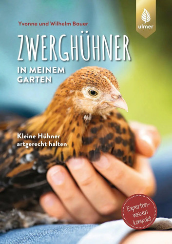 Zwerghühner meinem garten - in,
