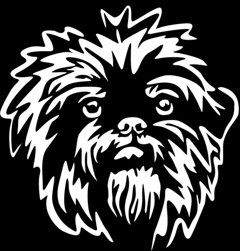Affenpinscher aufkleber - affenpinscher,