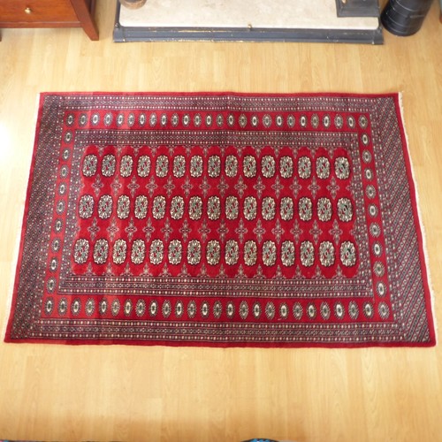 Handgeknüpfter pakistanischer - handgeknüpfter,