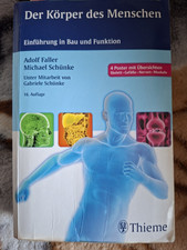 Thieme Der Körper des